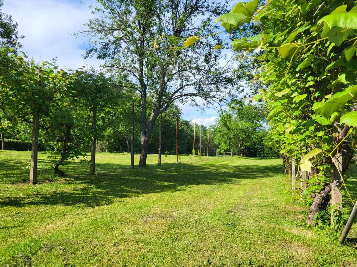 Kuca Za Odmor Jopi I Mare Villa Topusko Exterior foto